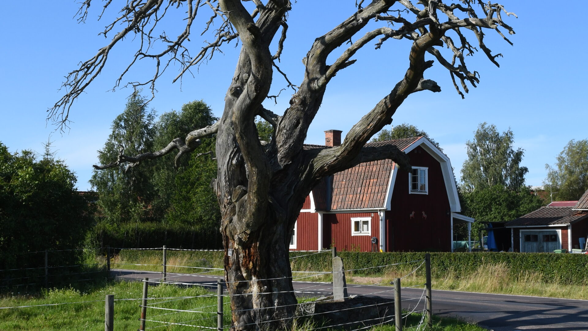 Wikimedia Sverige
